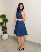 Sleeveless Denim Fit & Flare Dress