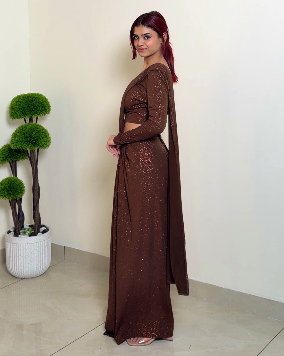 Metallic Indo-Western Saree